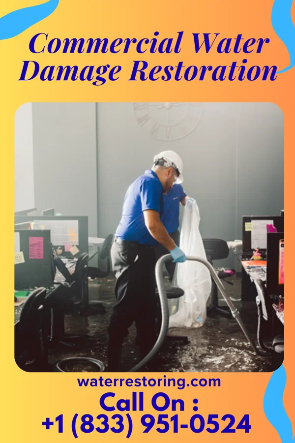Commercial Water Damage Restoration in Breathedsville, MD
