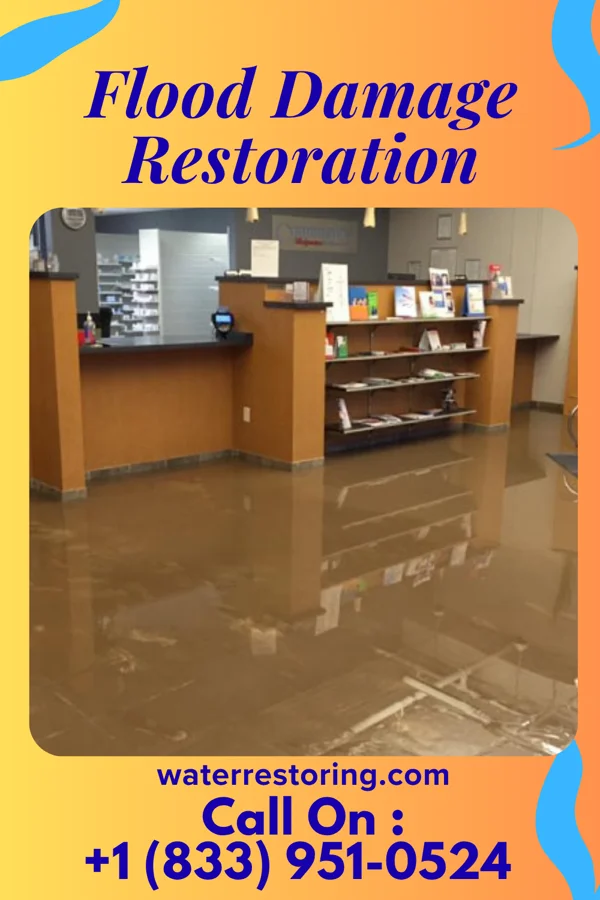 Flood Damage Restoration in Breathedsville, MD