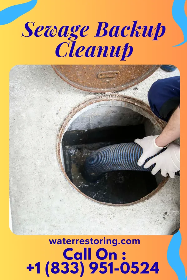 Sewage Backup Cleanup in Breathedsville, MD