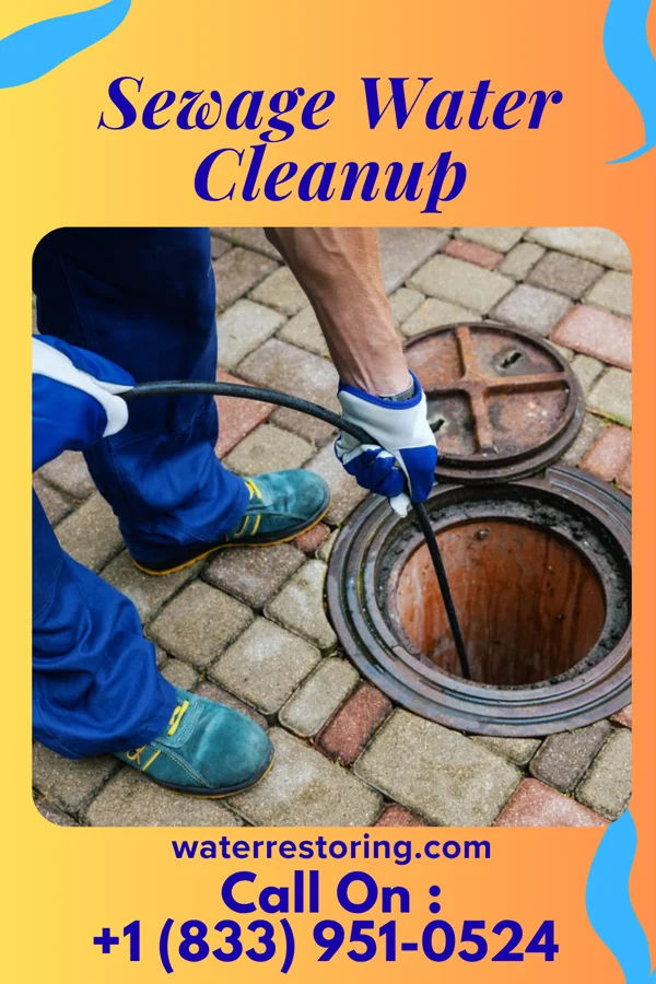 Sewage Water Cleanup in Breathedsville, MD